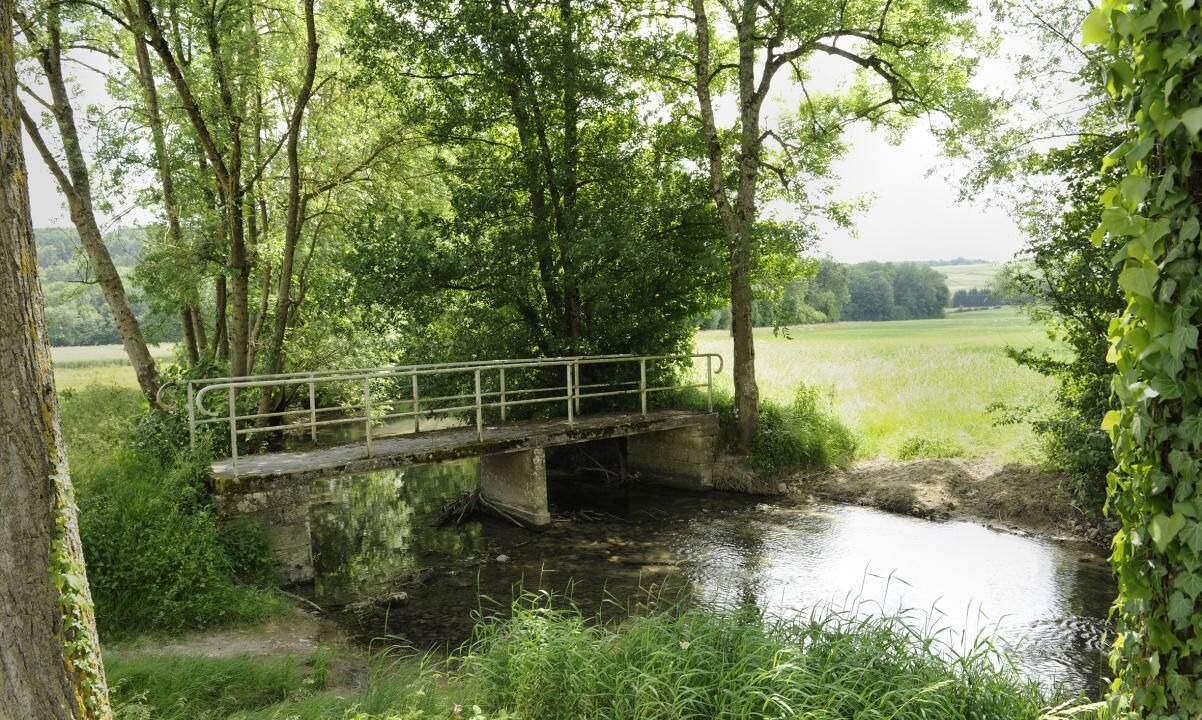 Photo of Outdoor in Ville sur Arce