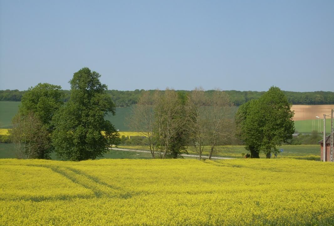 Photo of Outdoor in Messon