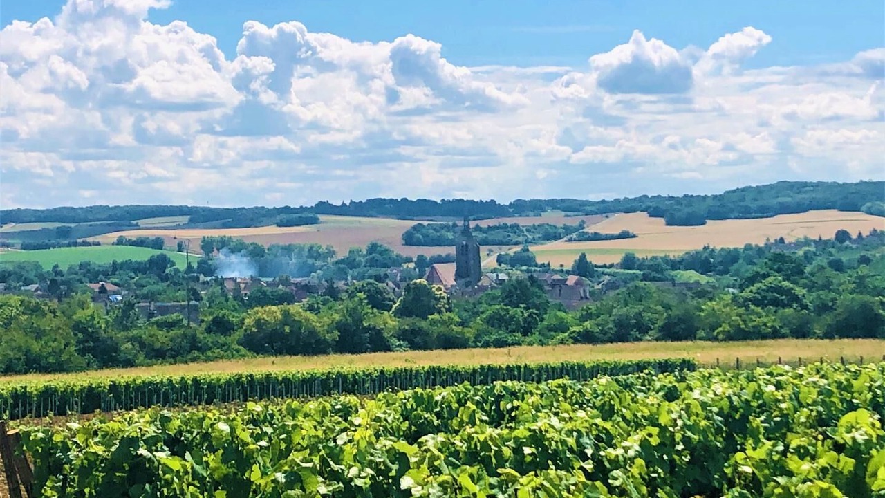 Photo of Others in Villenauxe-la-Grande