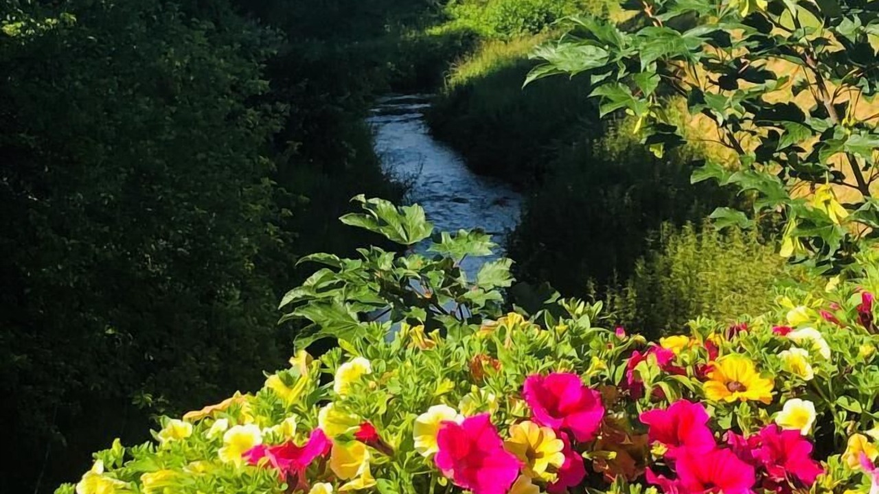 Photo of Outdoor in Villenauxe-la-Grande