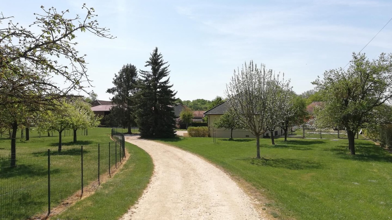 Photo of Outdoor in Piney