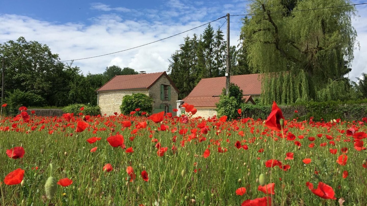 Photo of Outdoor in Polisot
