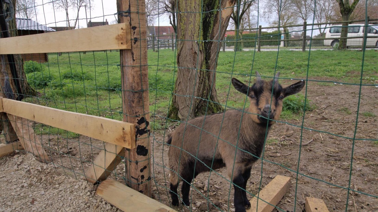 Photo of Outdoor in Mery-sur-Seine