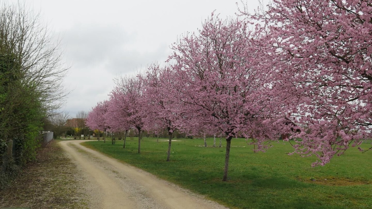 Photo of Outdoor in Mery-sur-Seine