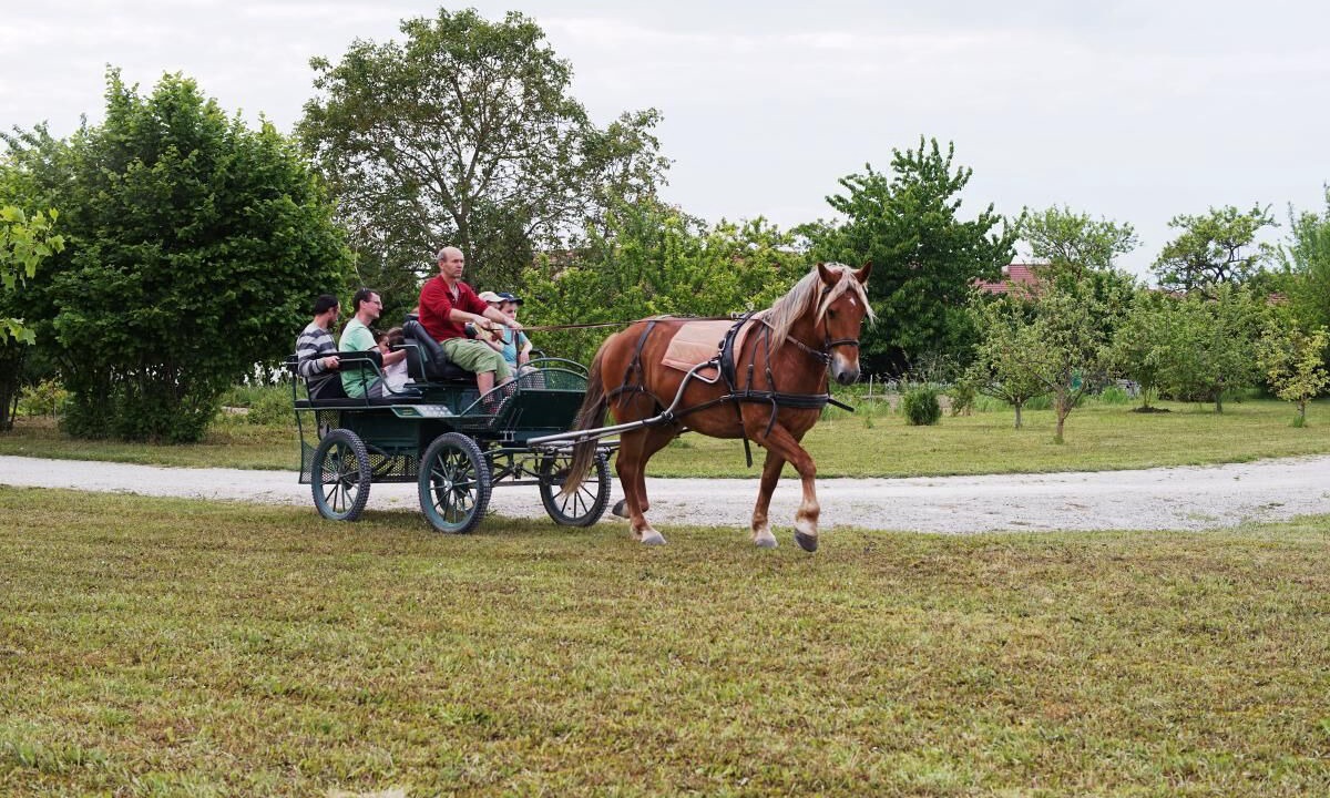 Photo of Others in Mery-sur-Seine