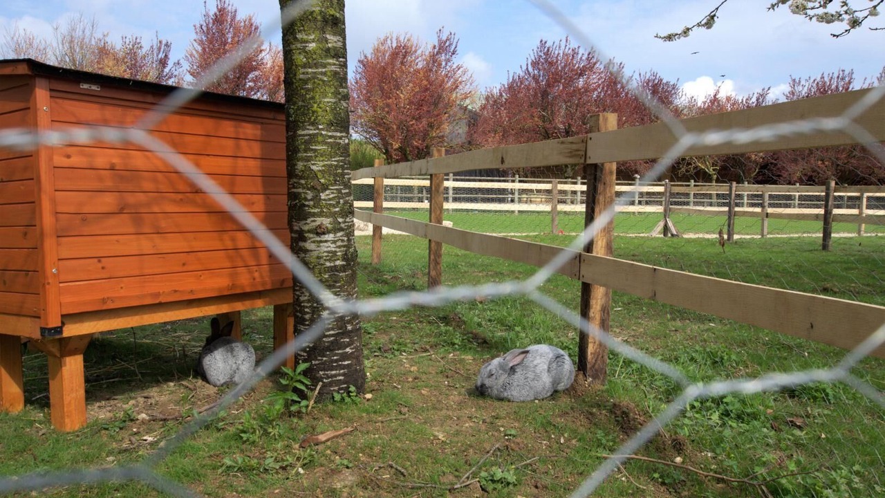 Photo of Outdoor in Mery-sur-Seine