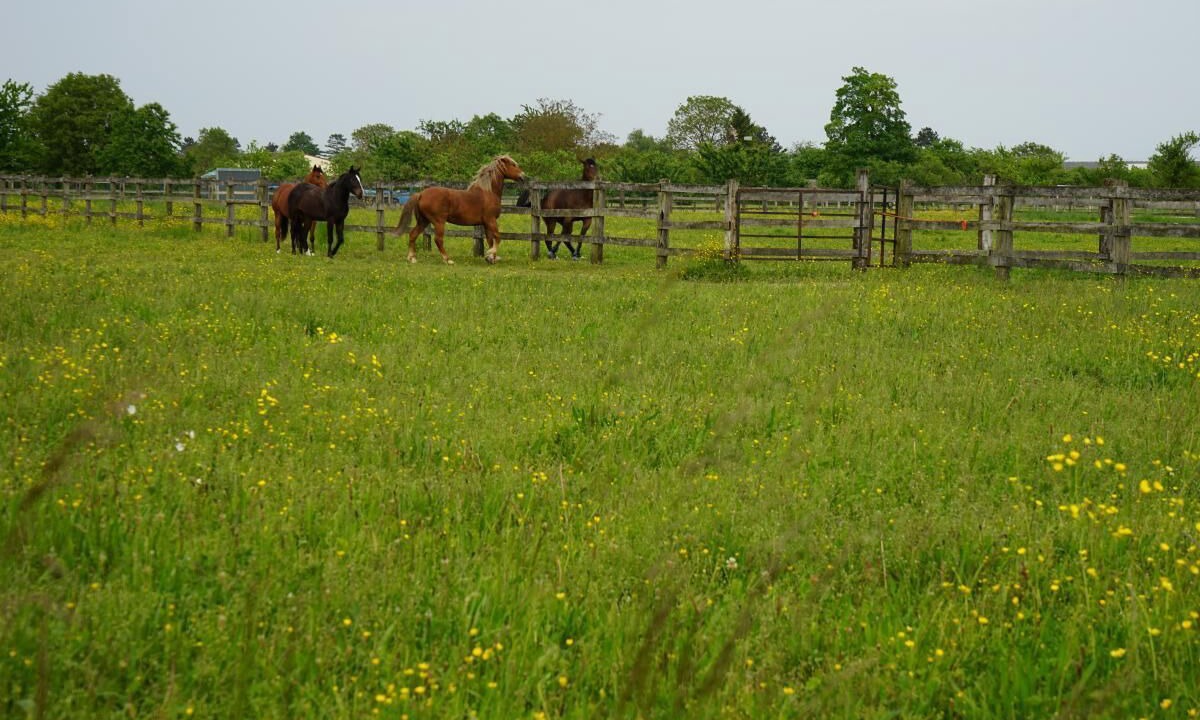 Photo of Outdoor in Mery-sur-Seine
