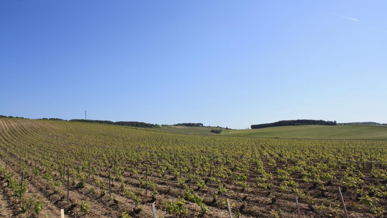 Photo of Others in Landreville