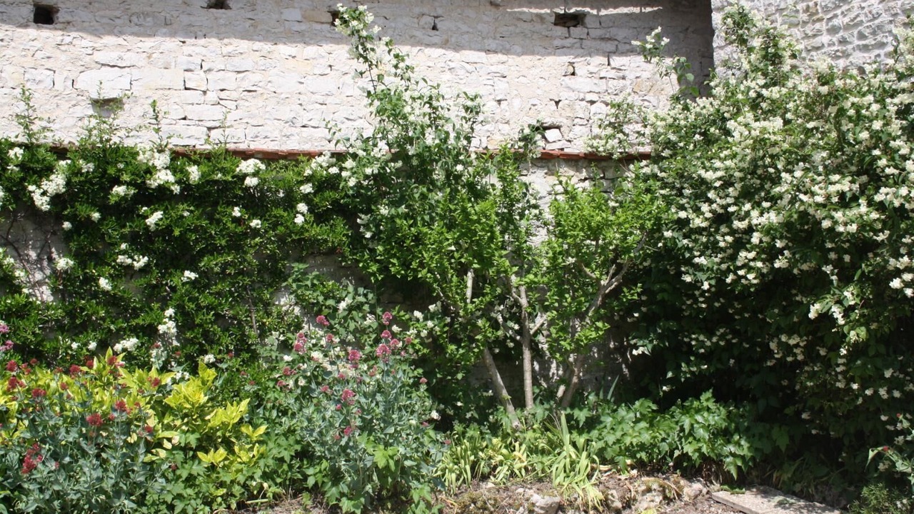 Photo of Outdoor in Landreville