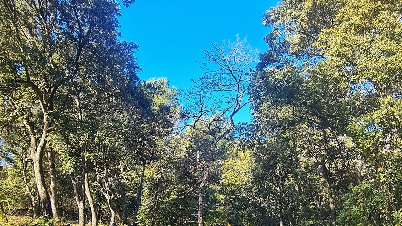 Photo of Outdoor in Salernes