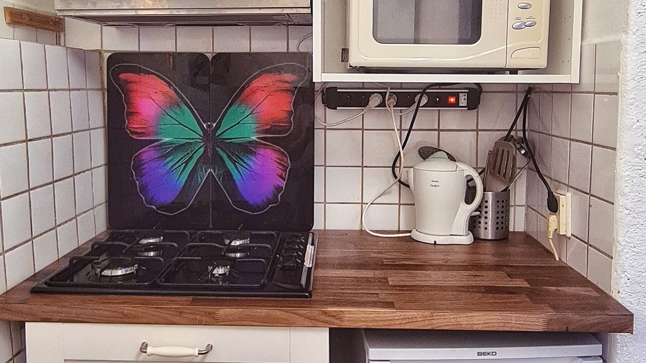 Photo of Others in Salernes