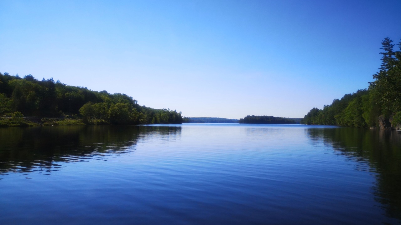 Photo of Others in Algonquin Highlands