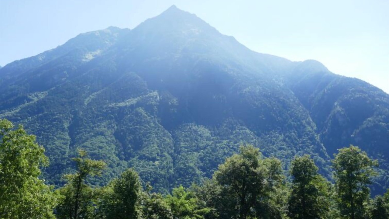 Photo of Others in Negrentino