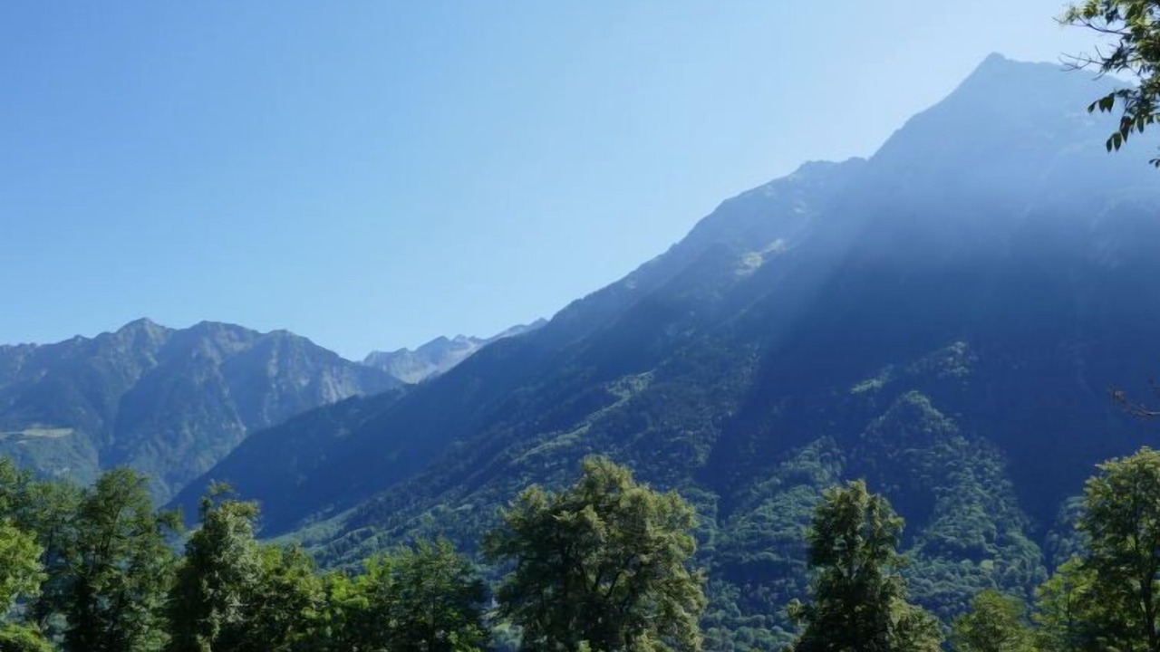 Photo of Others in Negrentino
