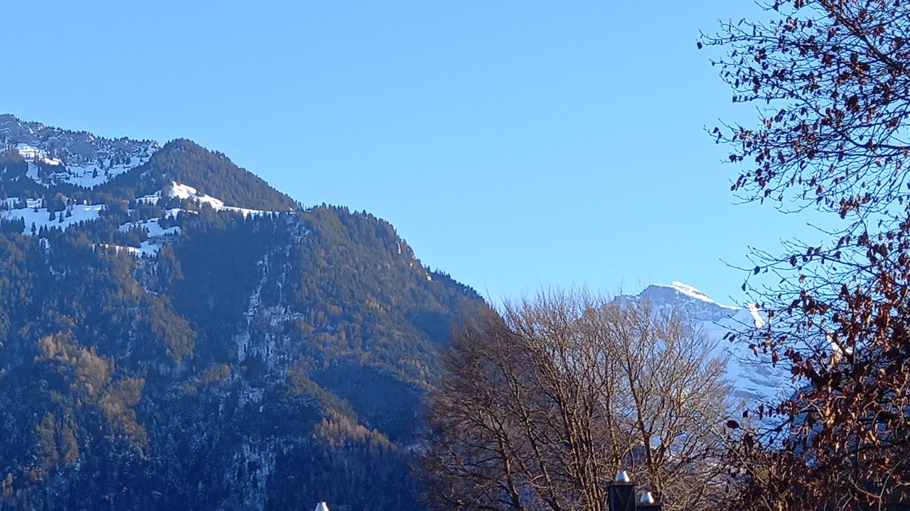 Photo of Outdoor in Matten bei Interlaken