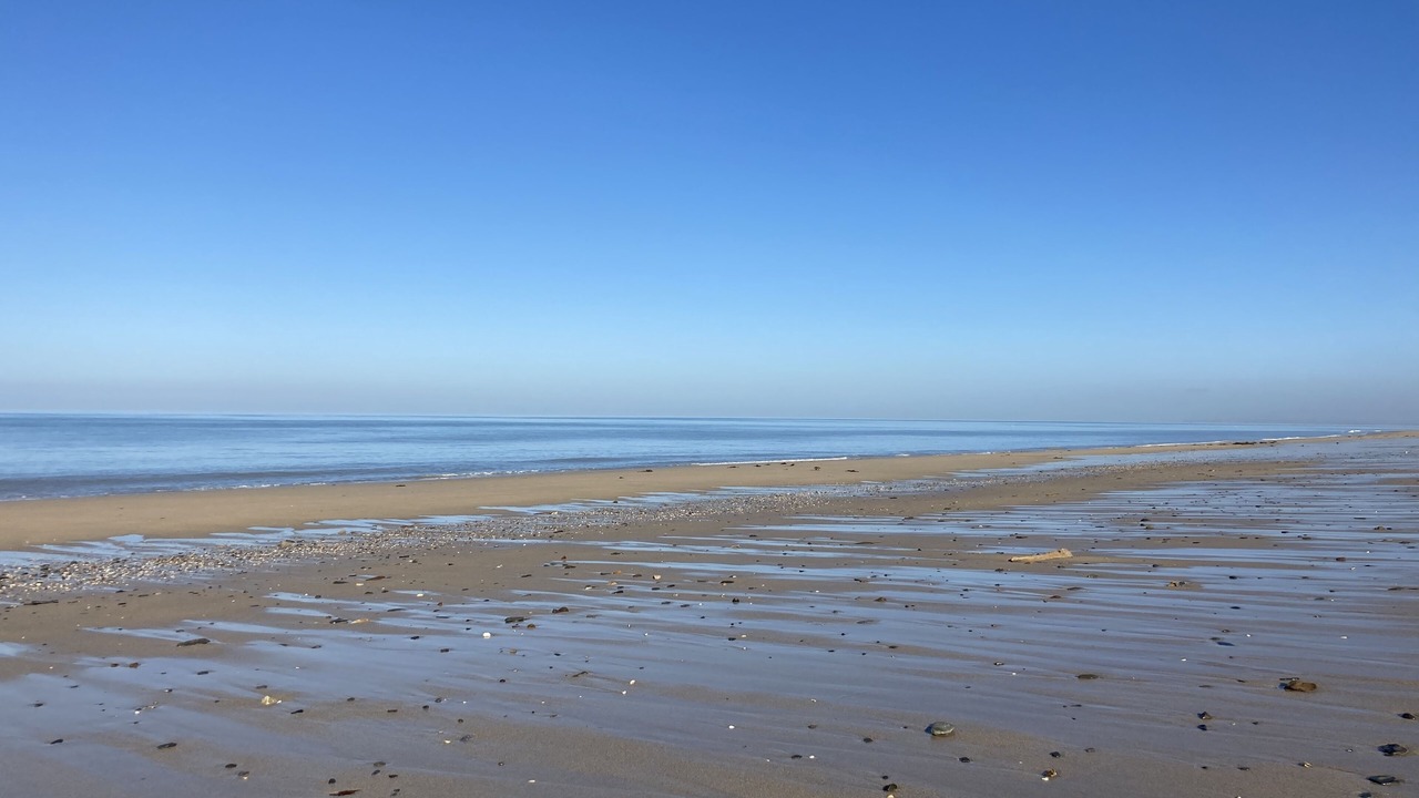 Photo of Others in Coudeville-sur-Mer