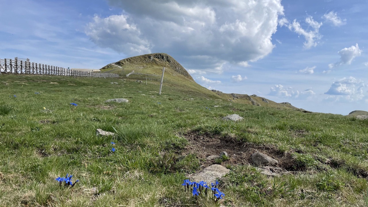 Photo of Others in Laveissiere