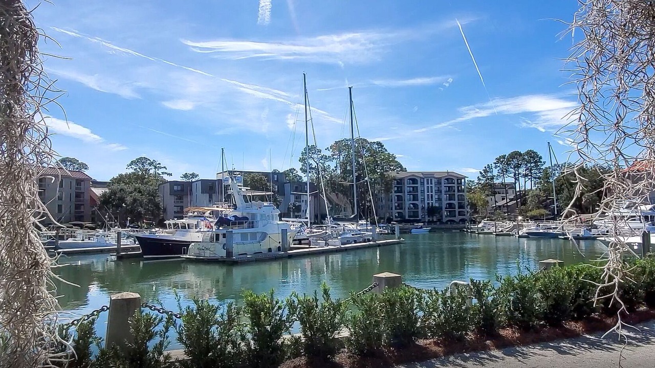 Photo of Others in Harbour Town
