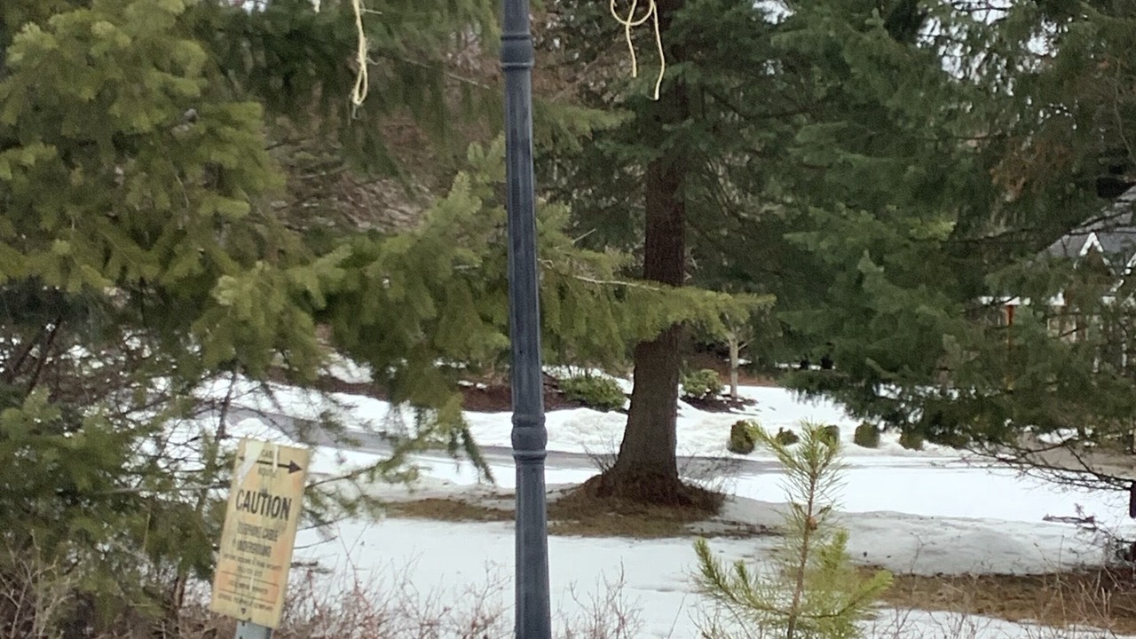 Photo of Others in Post Falls