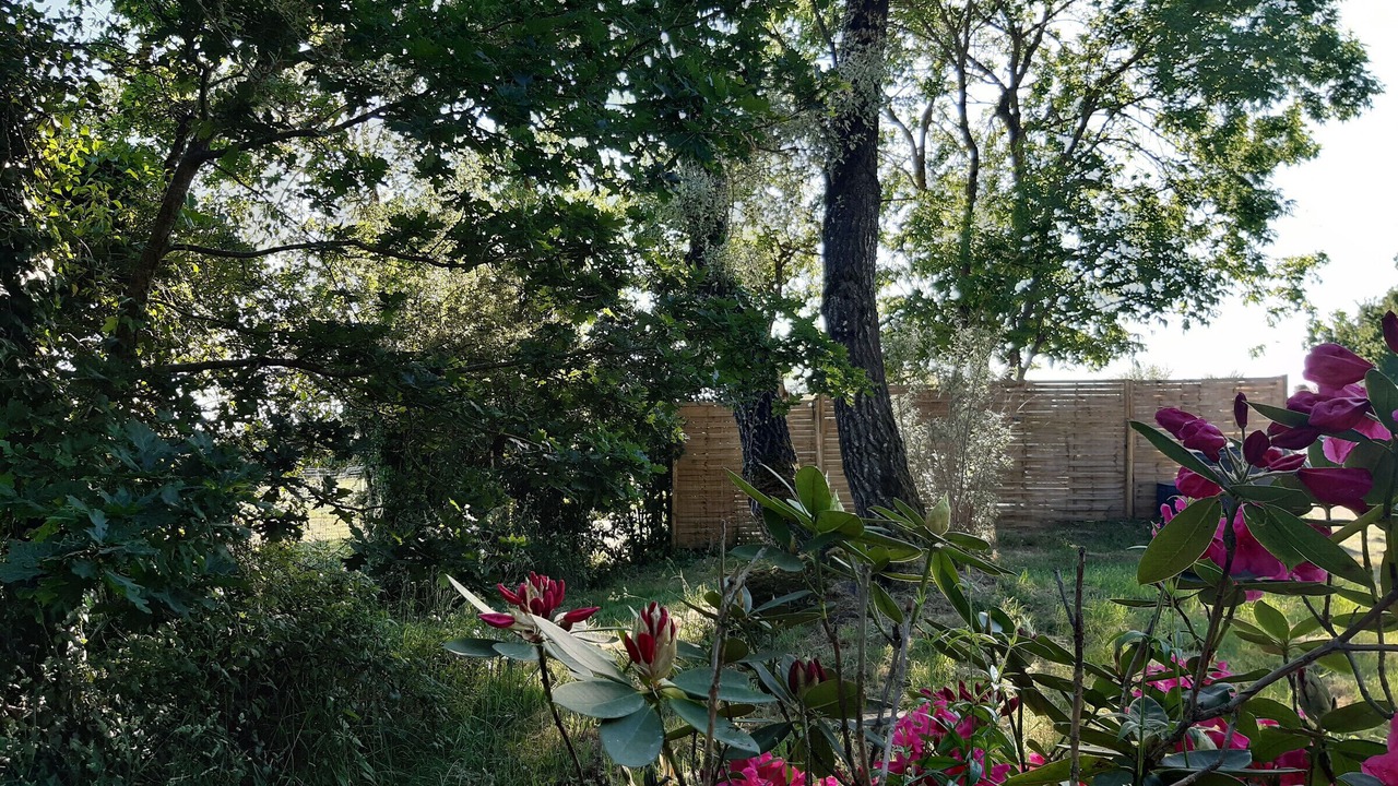 Photo of Outdoor in Sallertaine