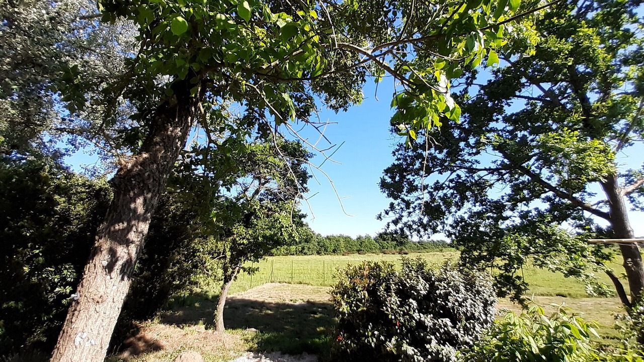Photo of Others in Sallertaine