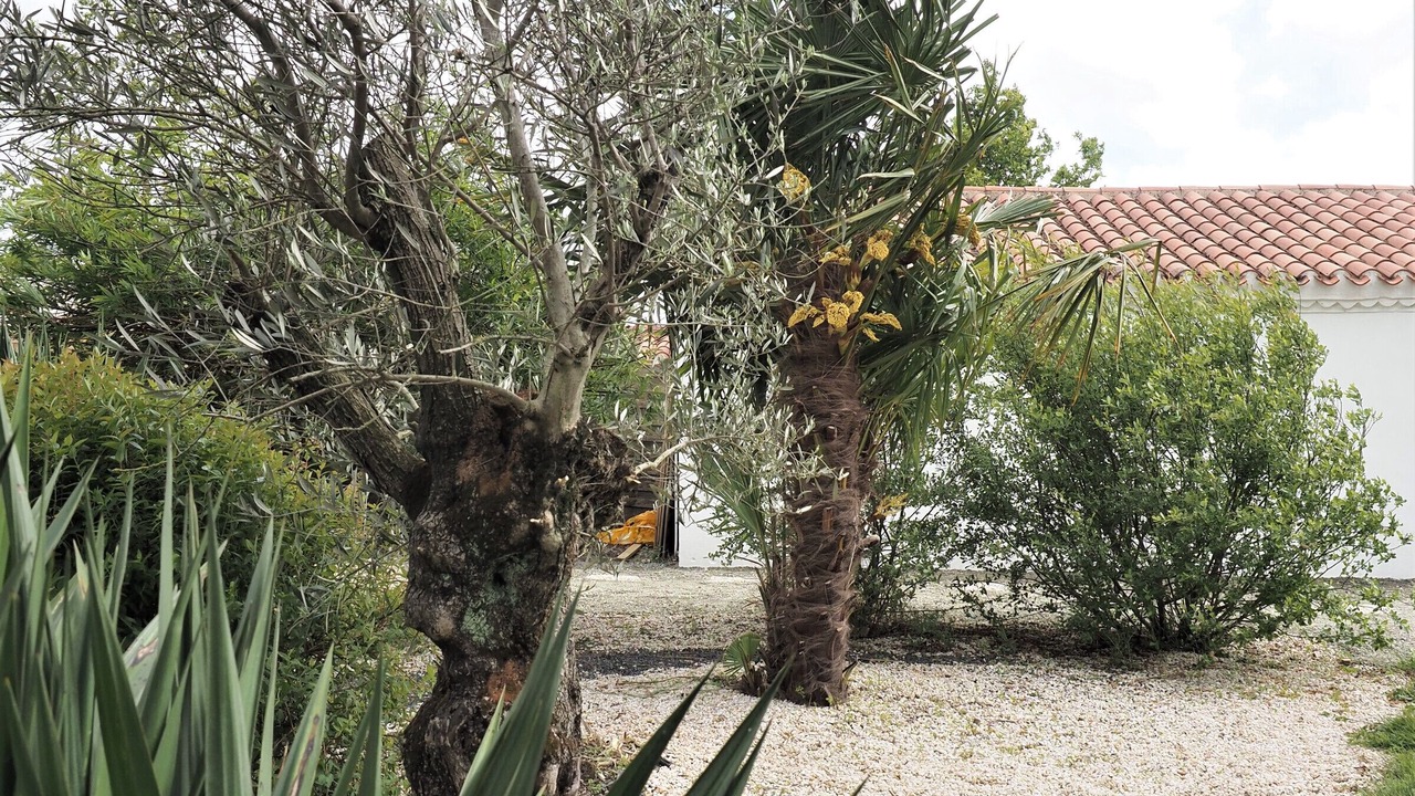 Photo of Outdoor in Sallertaine