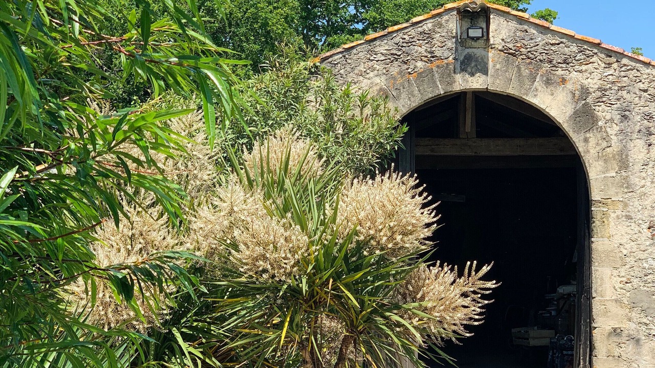 Photo of Outdoor in Sallertaine