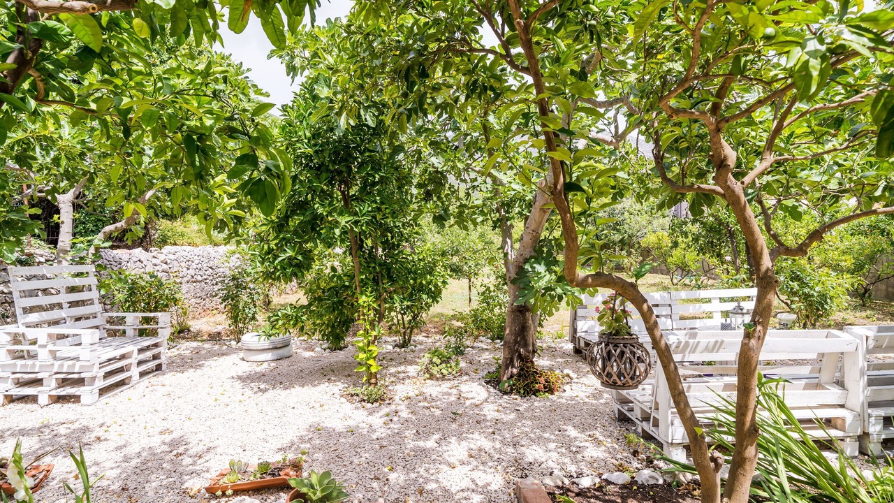Photo of Outdoor in Slano