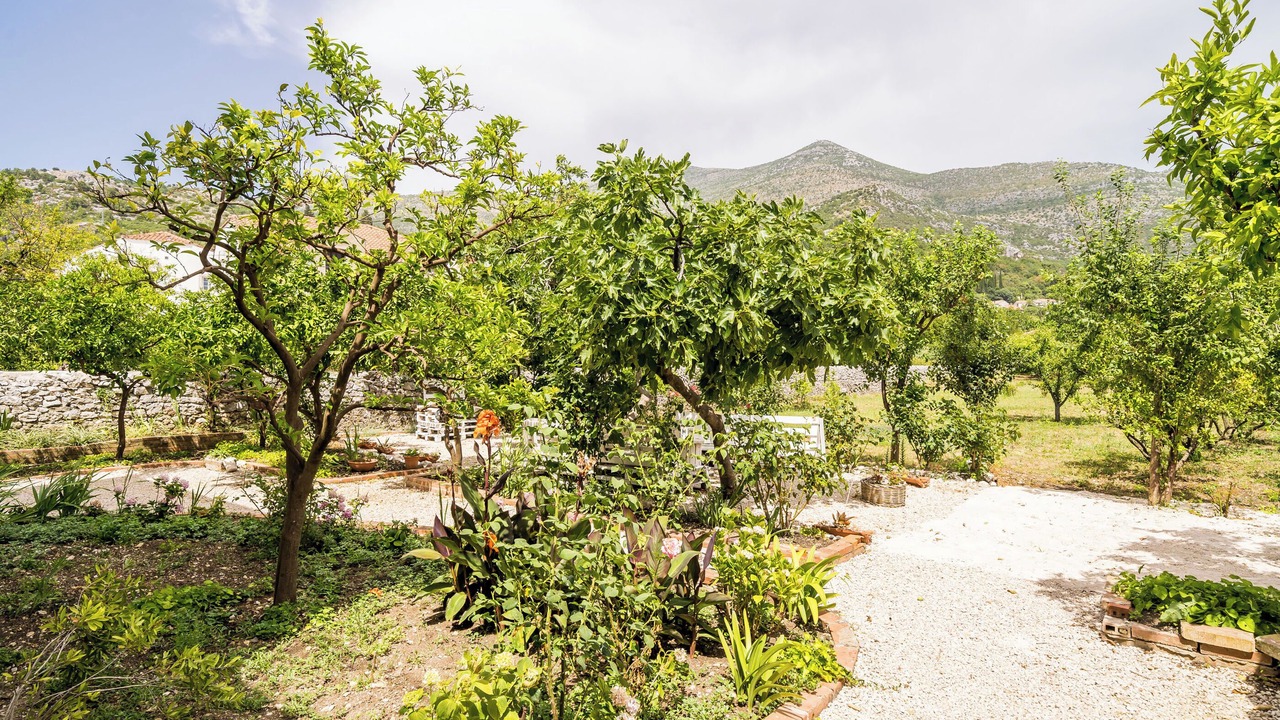 Photo of Outdoor in Slano