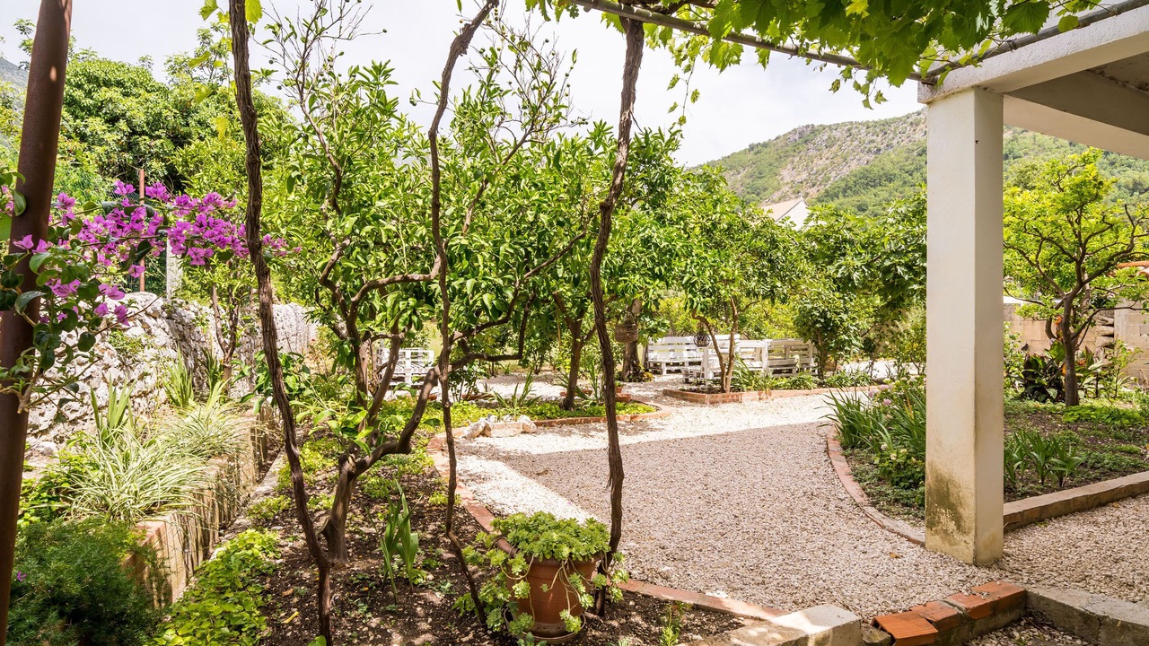 Photo of Outdoor in Slano