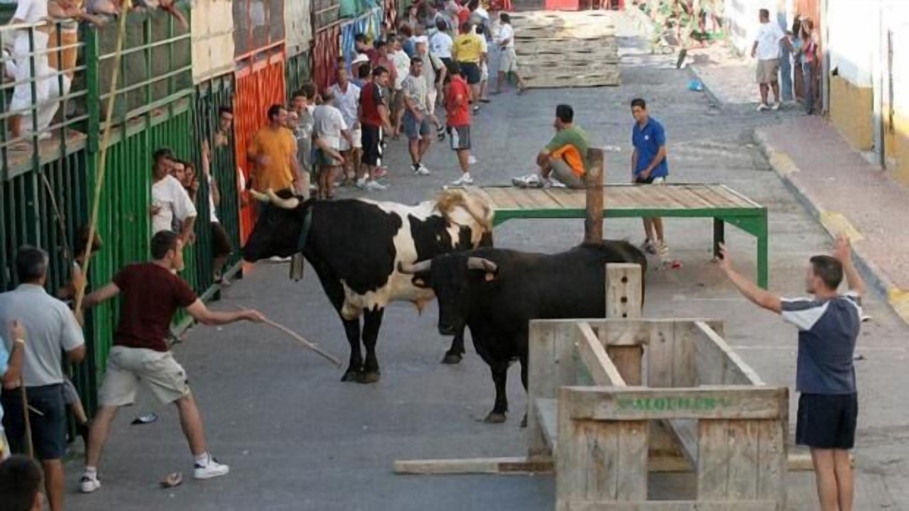 Photo of Others in Port de Sagunt