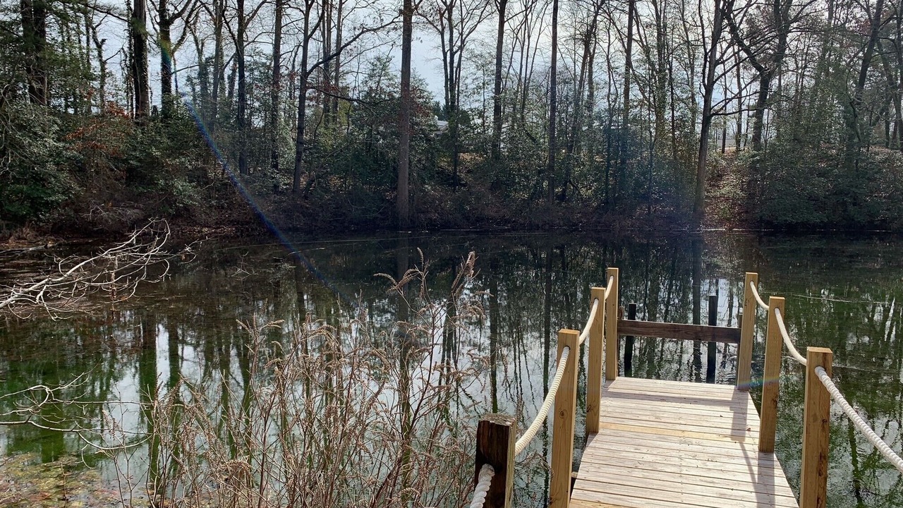 Photo of Others in Oldhams