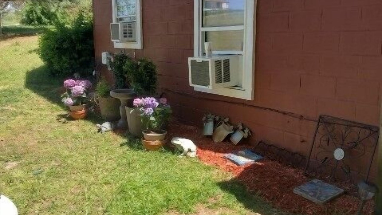 Photo of Outdoor in Oldhams