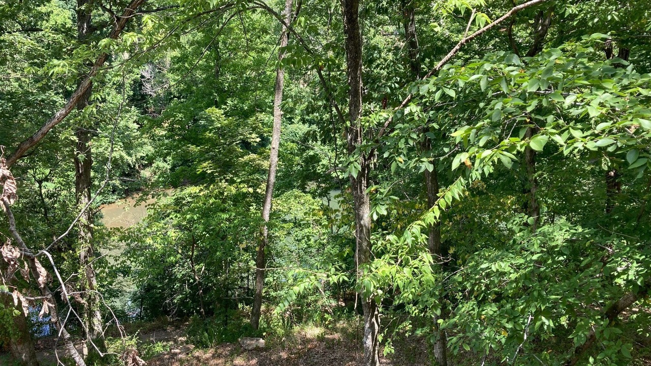Photo of Outdoor in Nixa
