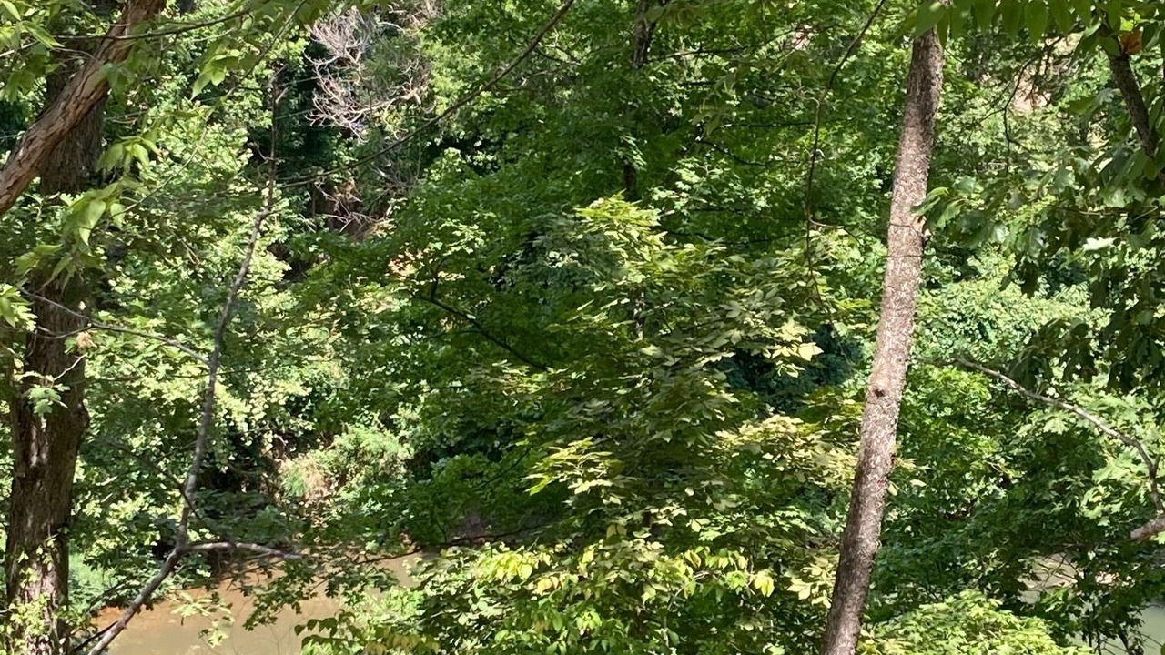 Photo of Outdoor in Nixa