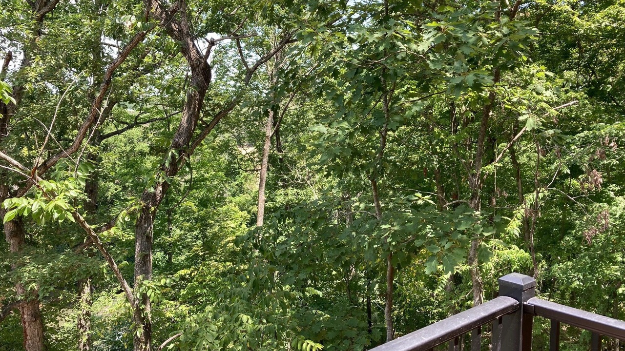 Photo of Outdoor in Nixa