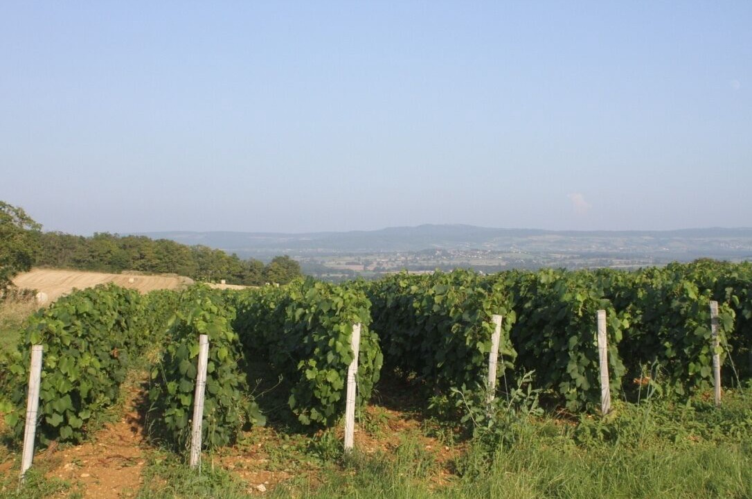 Photo of Outdoor in Saint-Ythaire