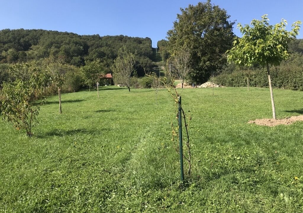 Photo of Outdoor in Saint-Ythaire