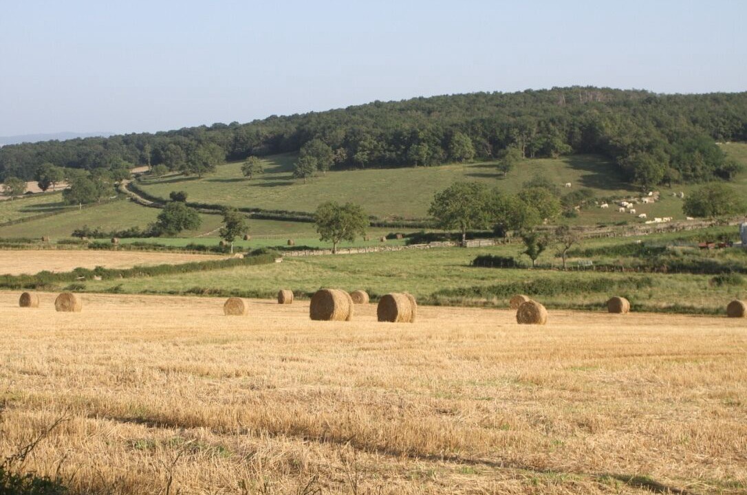 Photo of Others in Saint-Ythaire