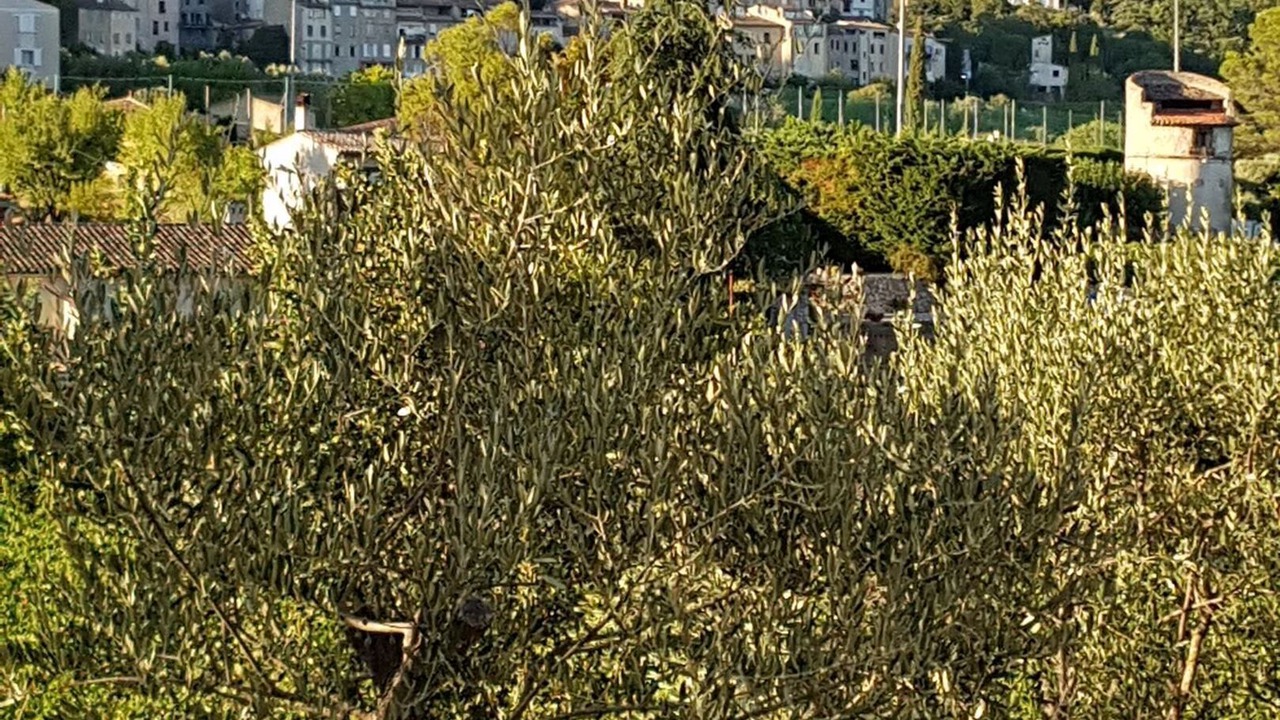 Photo of Outdoor in Callas