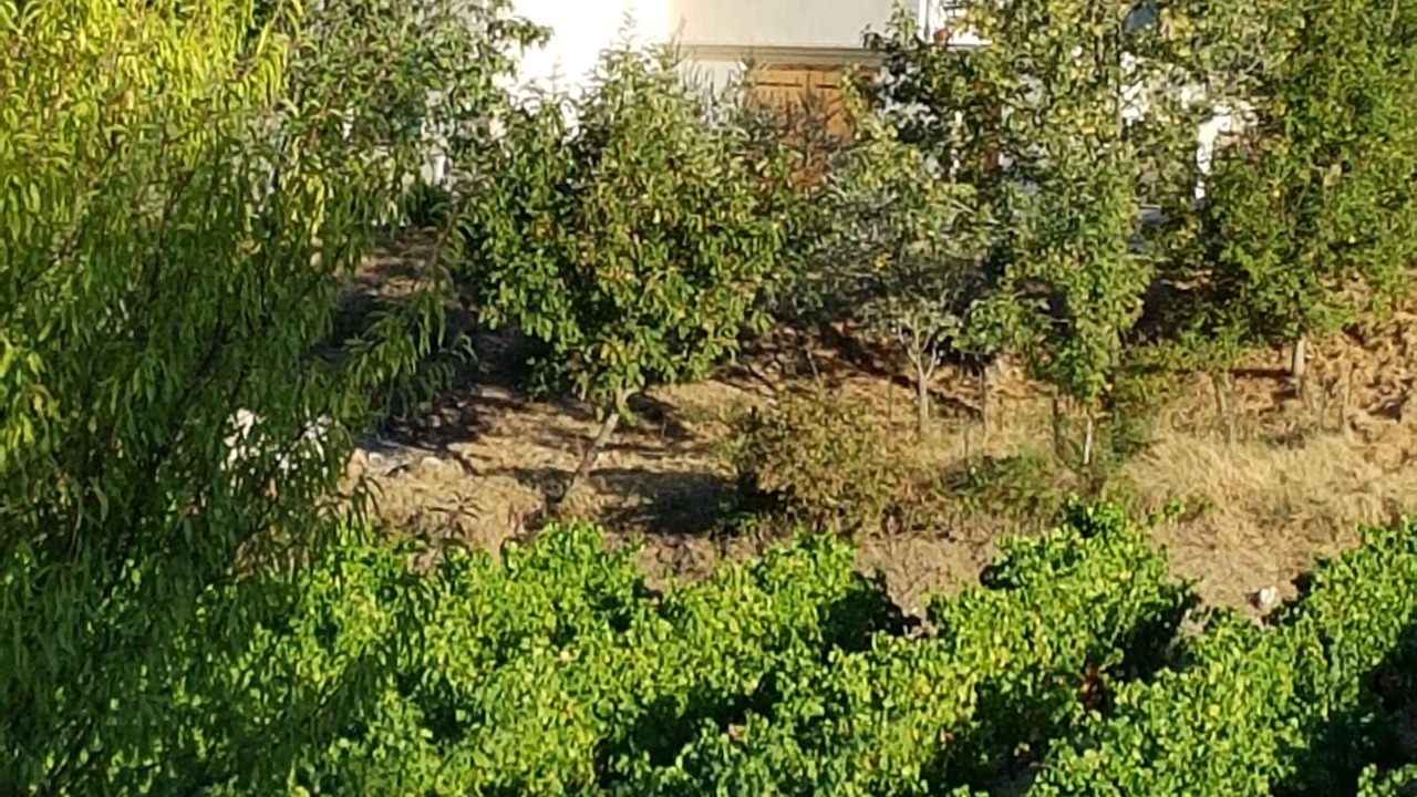 Photo of Outdoor in Callas