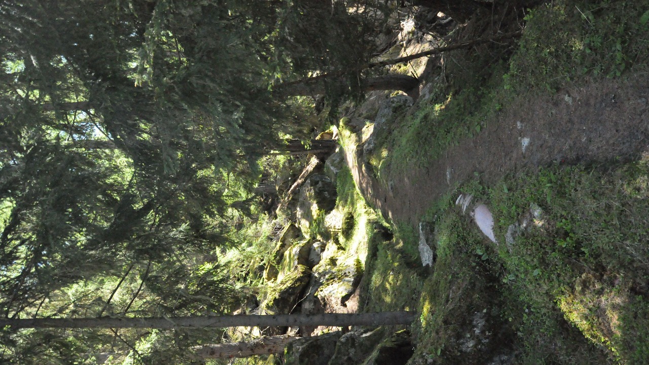 Photo of Others in St. Niklaus