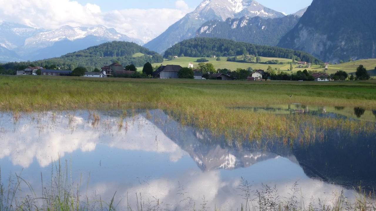 Photo of Others in Amsoldingen