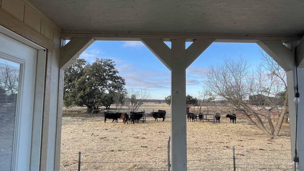 Photo of Outdoor in Tuscola