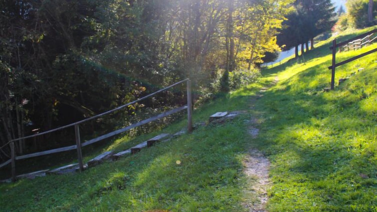 Photo of Others in Moleson