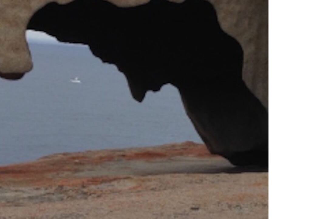 Photo of Others in Seddon