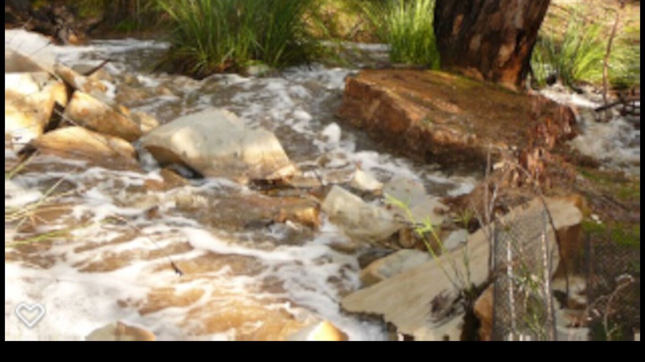 Photo of Others in Seddon