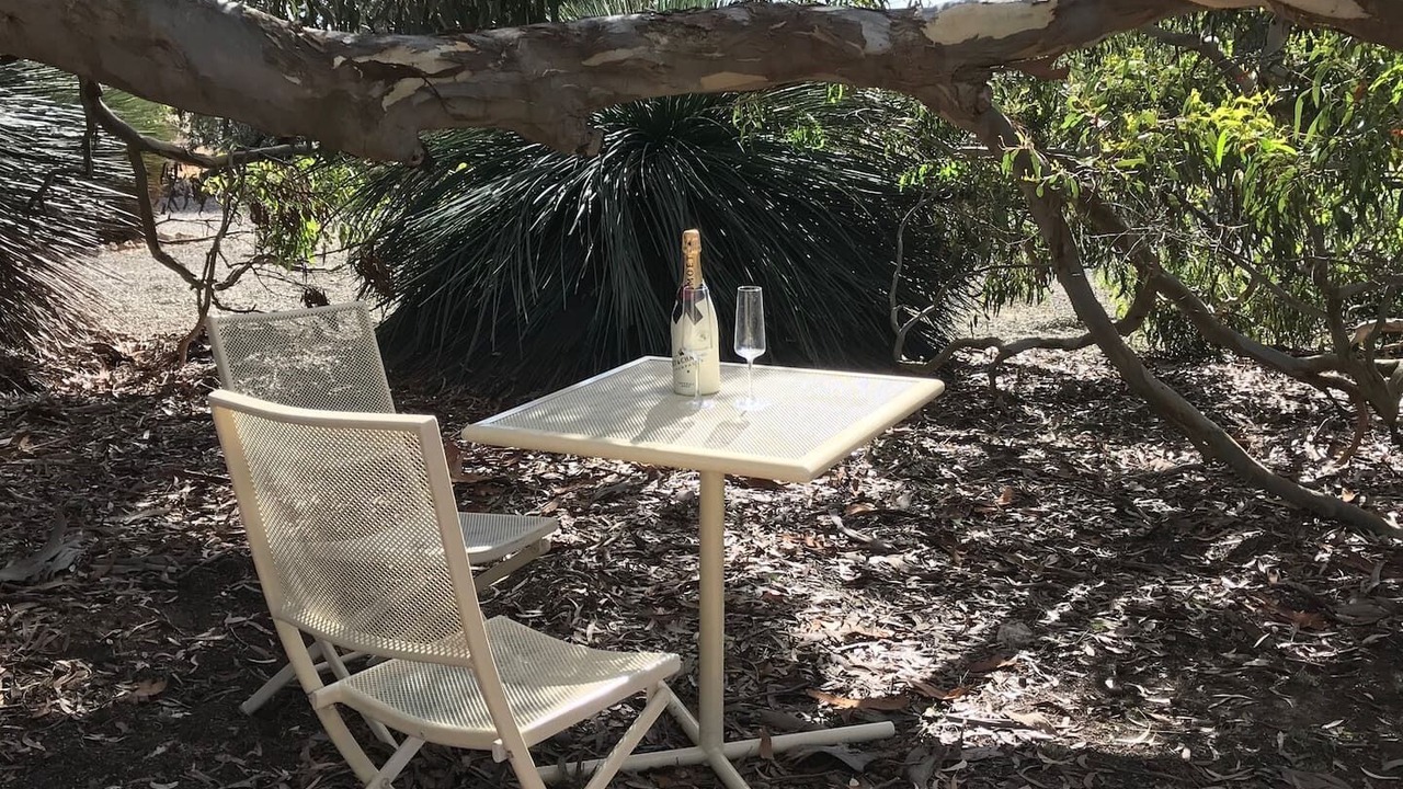 Photo of Others in Seddon