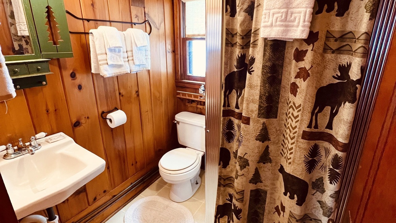 Photo of Bathroom in Indian Lake