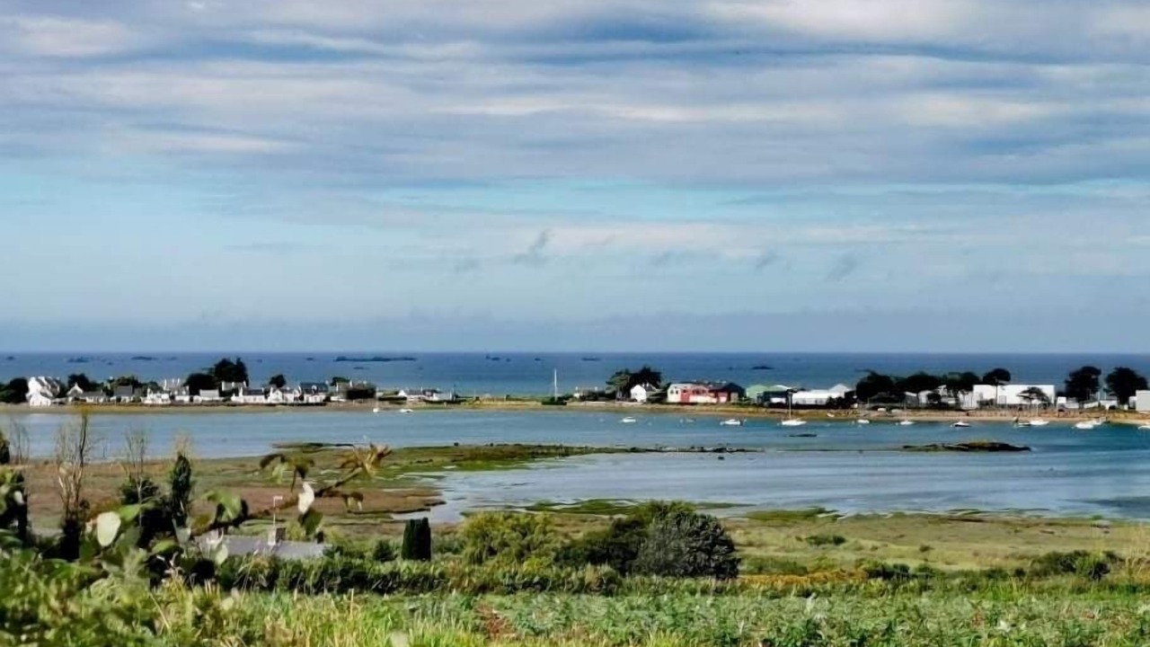 Photo of Others in Lanmodez